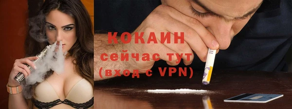 прущие грибы Абдулино