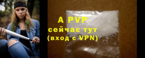 прущие грибы Абдулино