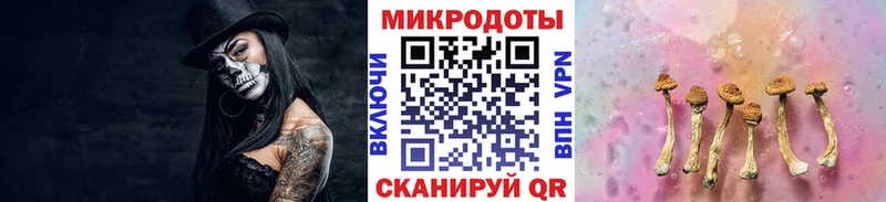 Псилоцибиновые грибы мицелий  shop наркотические препараты  Тимашёвск 